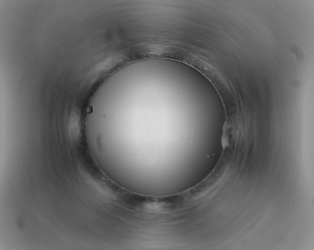 X0000114140216200910221532