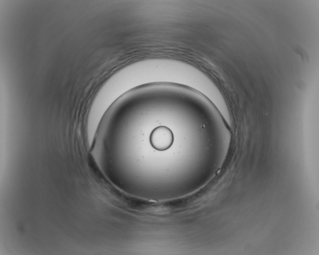 X0000114140217200910221532