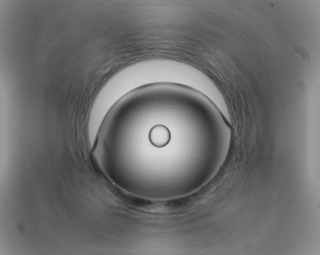 X0000114140219200910221532