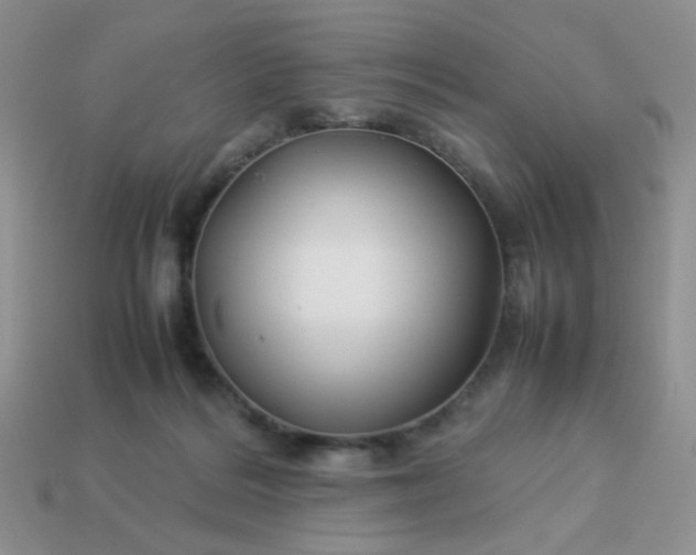 X0000114140220200910221532