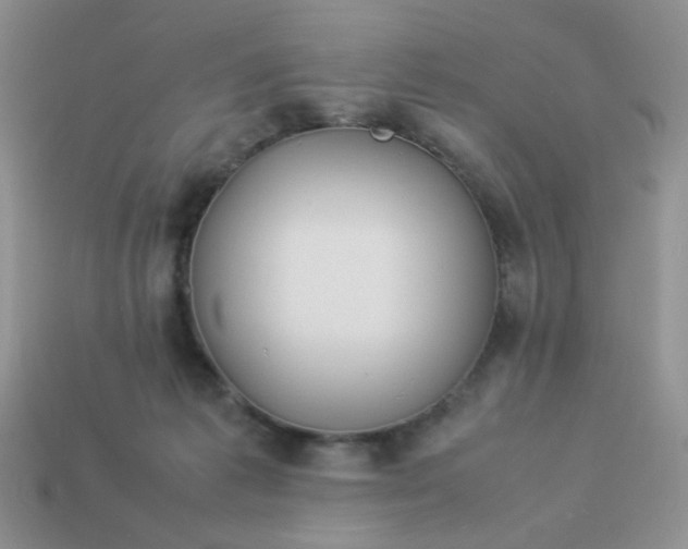 X0000114140221200910221532