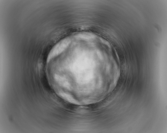 X0000114140222200910221532