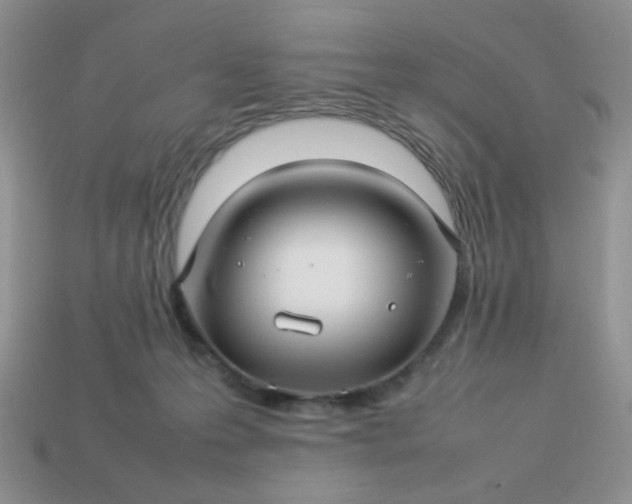 X0000114140223200910221532