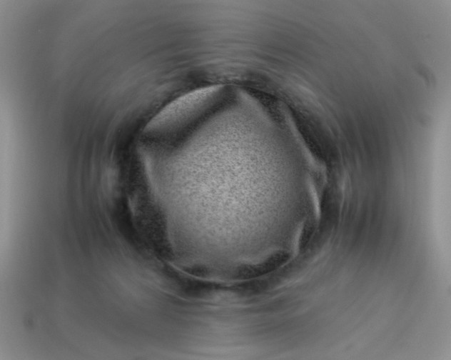 X0000114140224200910221532