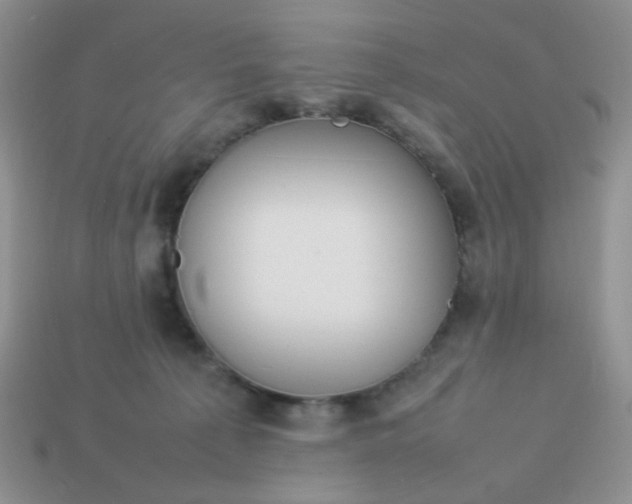 X0000114140225200910221532