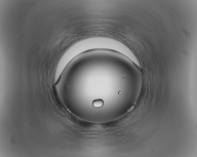 X0000114140227200910221532