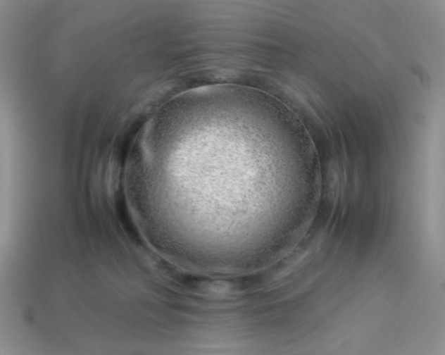 X0000114140230200910221532