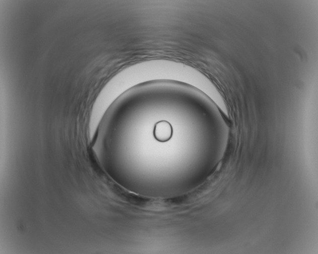 X0000114140231200910221532