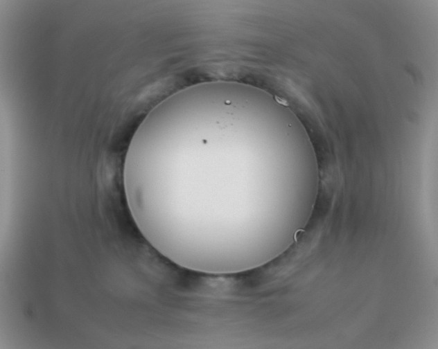 X0000114140233200910221532