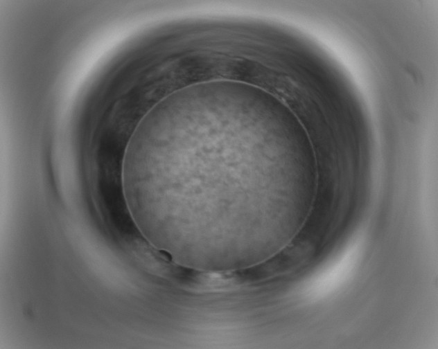 X0000114140239200910221532