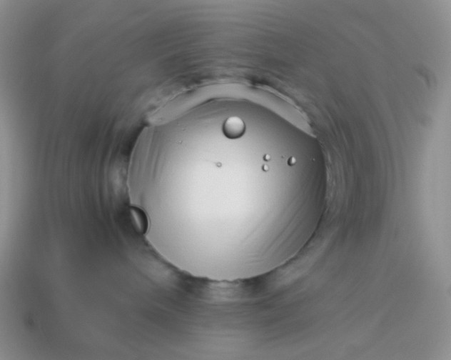 X0000114140240200910221532