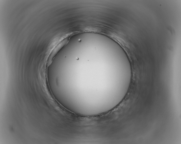 X0000114140241200910221531