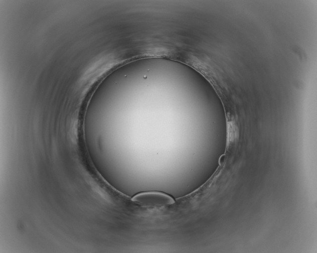 X0000114140243200910221531