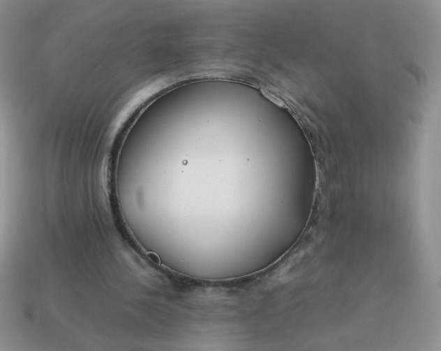 X0000114140244200910221531