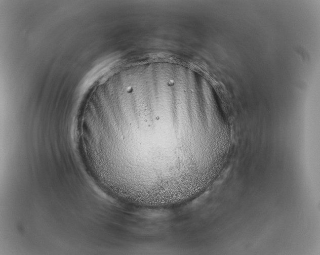 X0000114140245200910221531