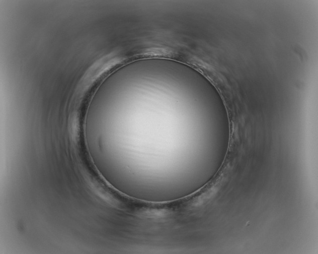 X0000114140247200910221531