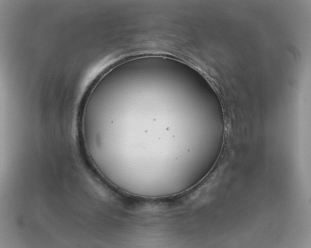 X0000114140248200910221531