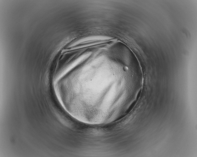 X0000114140250200910221531