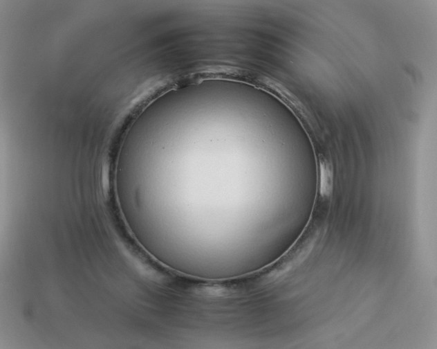 X0000114140253200910221531