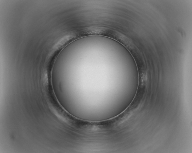 X0000114140254200910221531