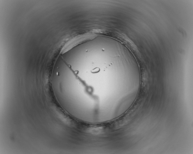 X0000114140257200910221531