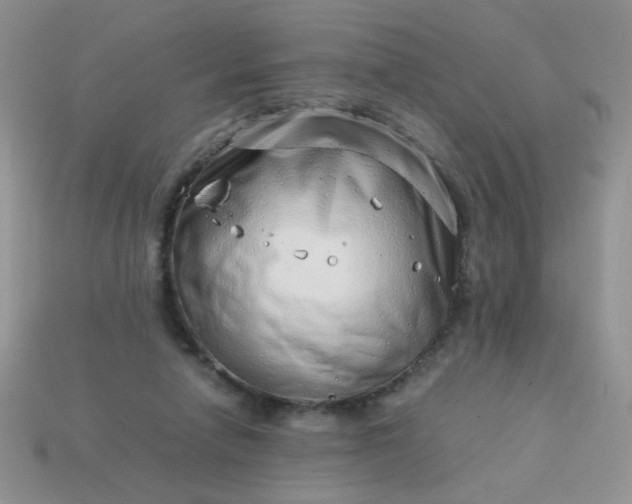 X0000114140258200910221531