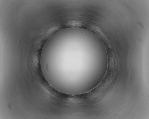 X0000114140259200910221531