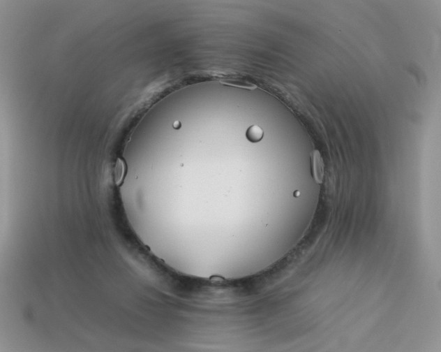 X0000114140260200910221531