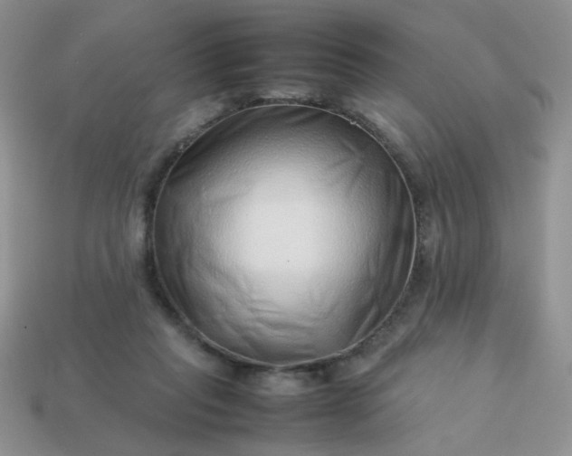 X0000114140261200910221531