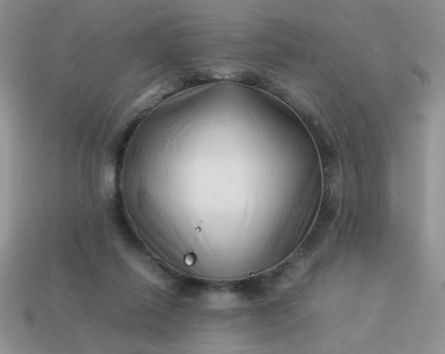 X0000114140262200910221531