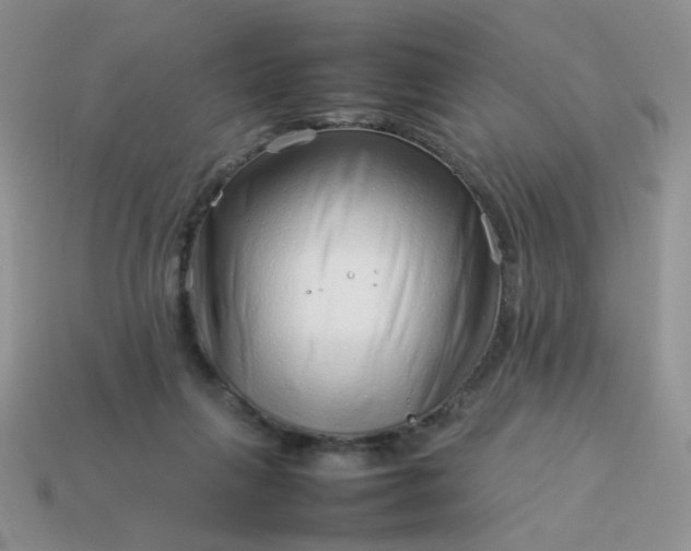 X0000114140263200910221531