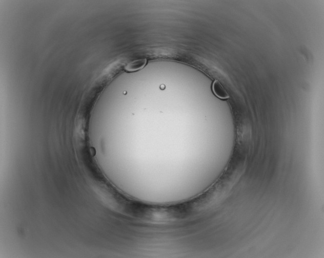 X0000114140264200910221531