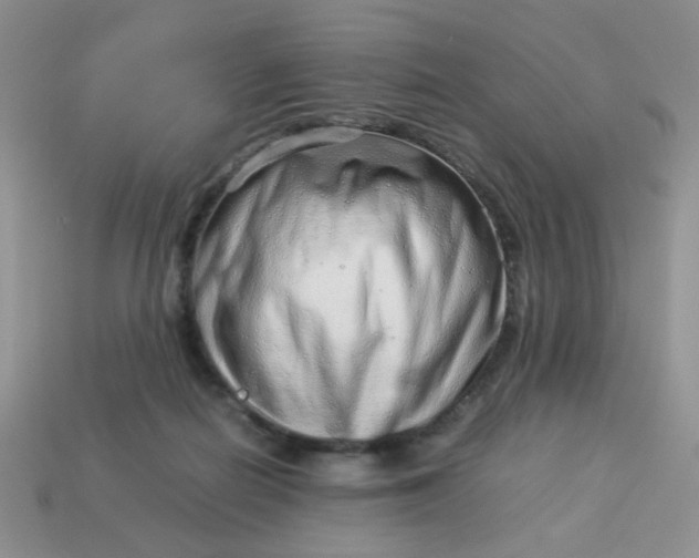 X0000114140266200910221531