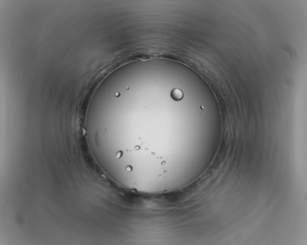 X0000114140268200910221531