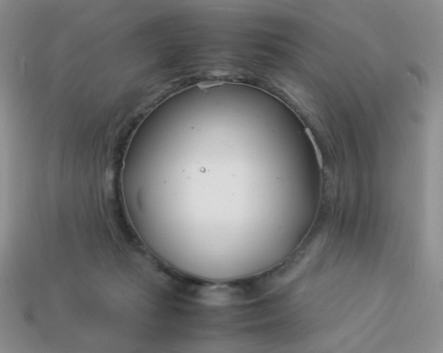 X0000114140269200910221531