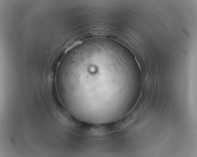 X0000114140271200910221531