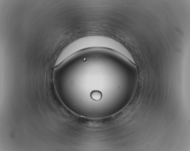 X0000114140272200910221531