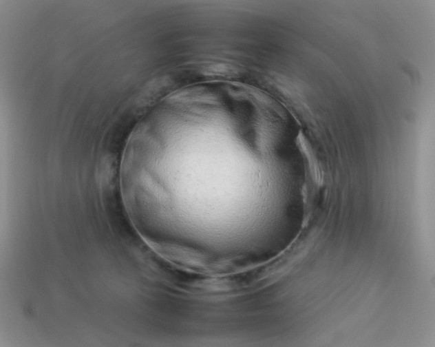 X0000114140273200910221531