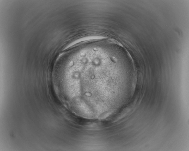 X0000114140274200910221532