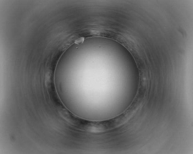 X0000114140275200910221532