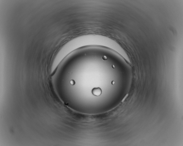 X0000114140276200910221532