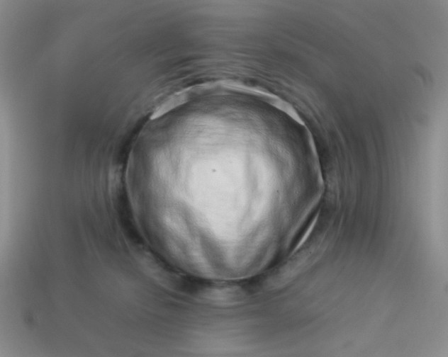 X0000114140278200910221532