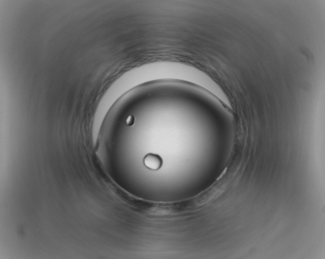 X0000114140280200910221532