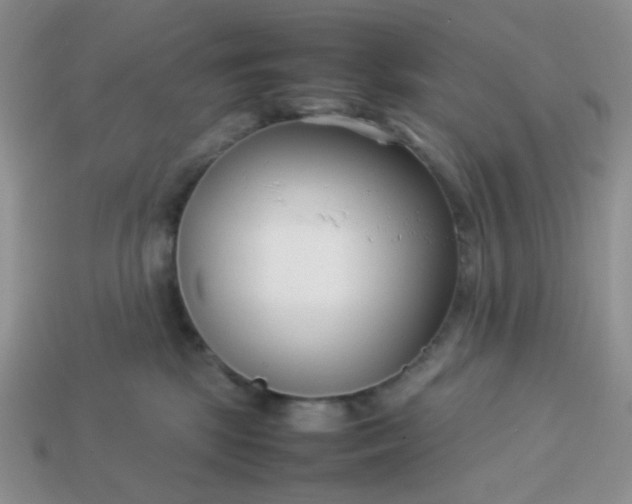 X0000114140281200910221532