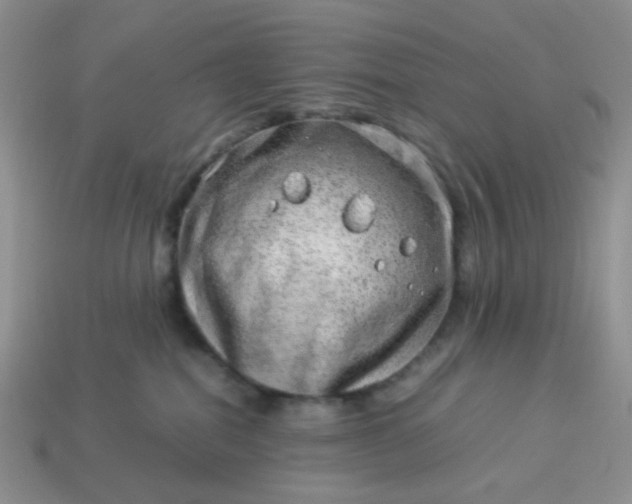 X0000114140282200910221532