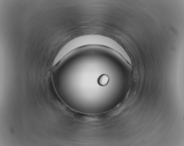 X0000114140284200910221532