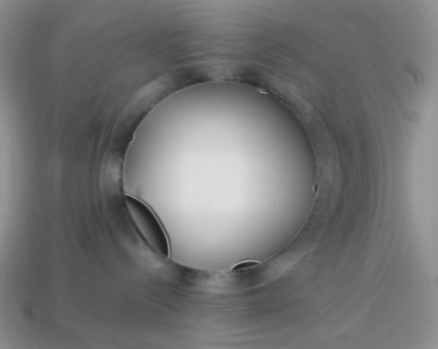 X0000114140288200910221532