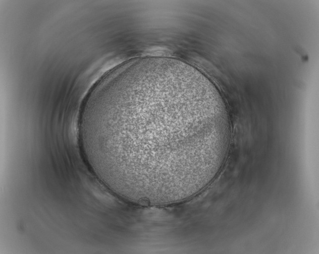 X0000114140290200910221531