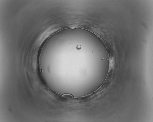 X0000114140291200910221531