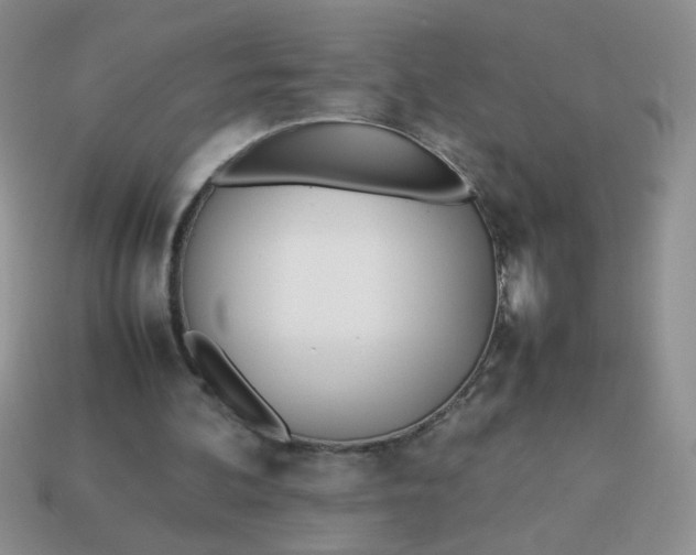 X0000114140292200910221531